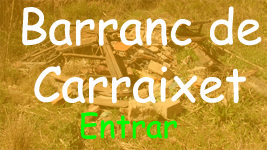 Basures al Carraixet